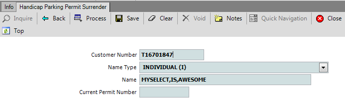 Handicap_Permit_00_Surr_CustInfo