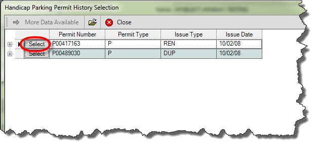 Handicap_Permit_03_Hist_Selection