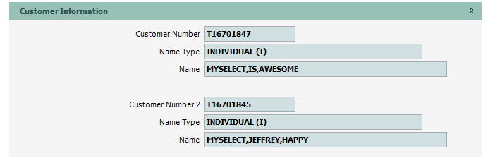 TTLMV2_Trans_01_CustInfo