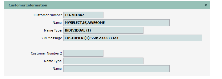 VEH_STP_Delete_01_CustInfo