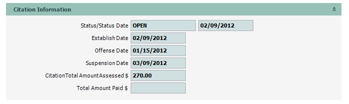 CITTRK_Payment_01_CitInfo