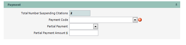CITTRK_Payment_04_Payment