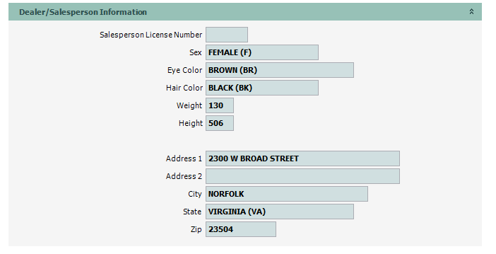 DLR_Post_TST_01_DLRSLSMN_Info