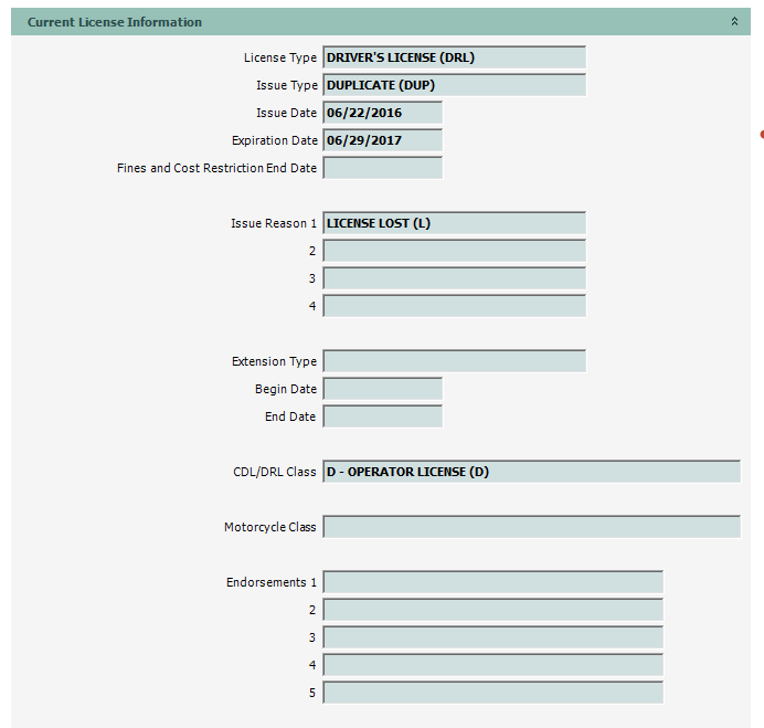 DriverStatusInquiry_03_CurrentLicenseInformation