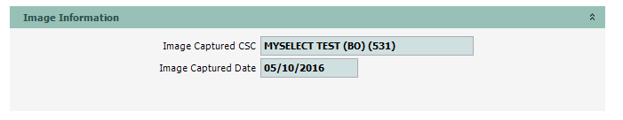 DriverStatusInquiry_04_ImageInformation