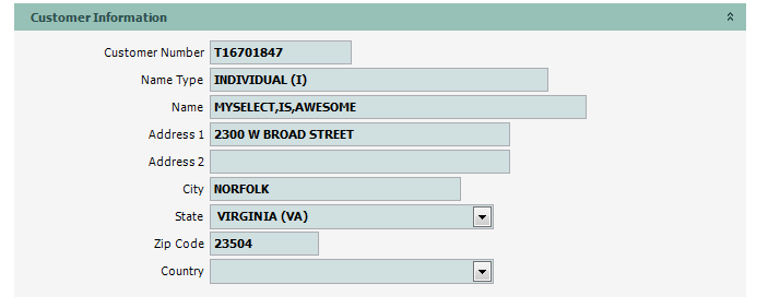 HOLDPLT_INQ_01_CustInfo