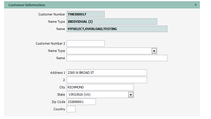OVRLoad_Permit_REN_01_CustInfo2