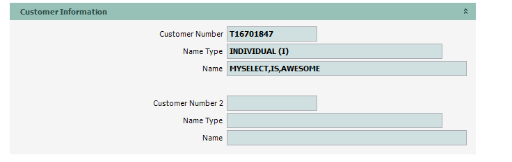 REGORI_01_Custinfo