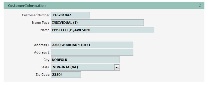 Trip_Permit_Iss_01_CustInfo2