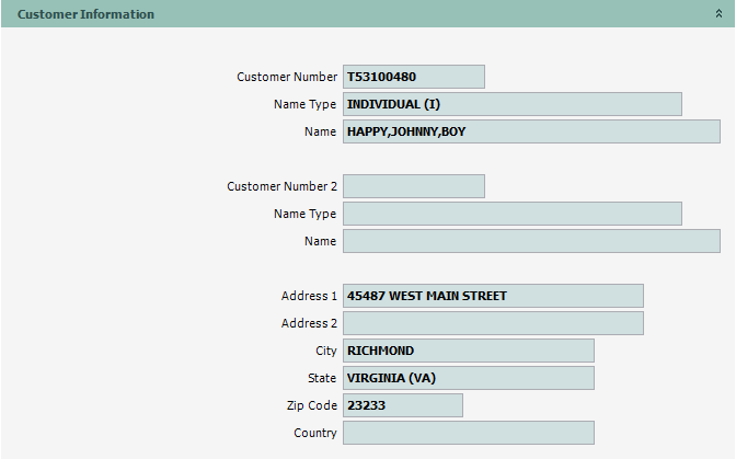 VehicleInformation_Additional_01_CustomerInformation